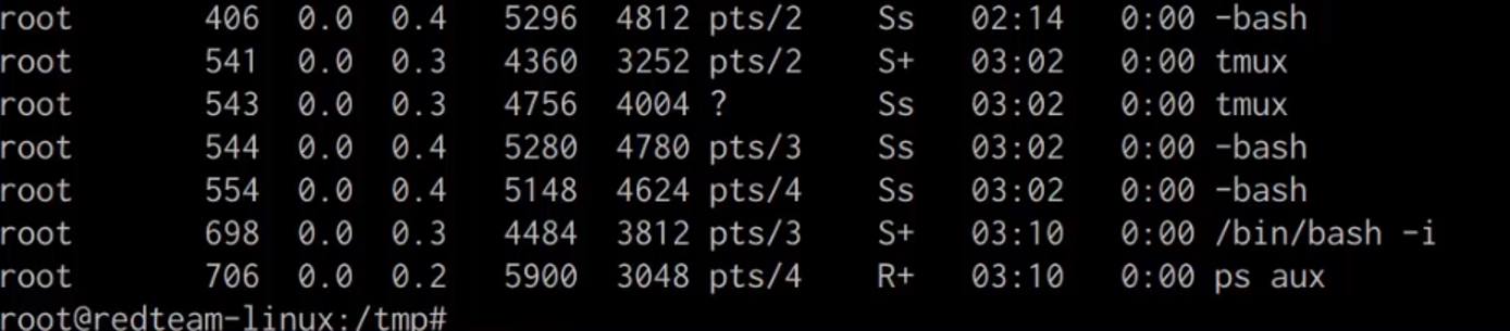 ps aux output with shell.py hidden