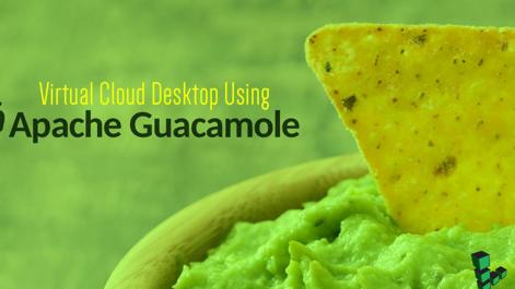 Apache_Guacamole.jpg